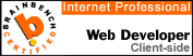 Web Developer Client-side - Internet Professional - Brainbench